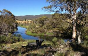 Home Exchange in Yaouk, NSW, Australia, where you can swim in the lake