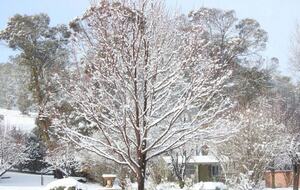 Home Exchange in Yaouk, NSW, Australia, winter wonderland