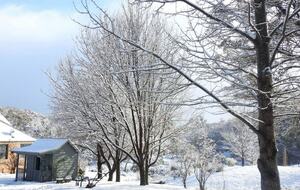 Home Exchange in Yaouk, NSW, Australia, snowy dreams