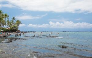 Beach and snorkeling steps away