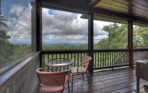Home Exchange in Mineral Bluff, GA, screened in balcony