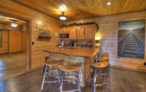 Home Exchange in Mineral Bluff, GA, bonus room bar