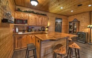 Home Exchange in Mineral Bluff, GA, bonus room bar
