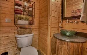 Home Exchange in Mineral Bluff, GA, powder bathroom
