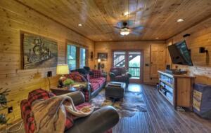 Home Exchange in Mineral Bluff, GA, bonus living space