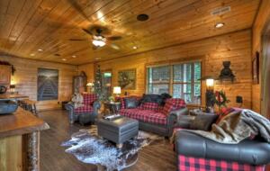 Home Exchange in Mineral Bluff, GA, bonus living space