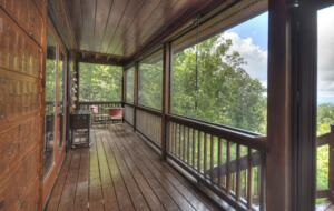 Home Exchange in Mineral Bluff, GA, screened in balcony