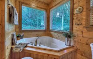 Home Exchange in Mineral Bluff, GA, soaker tub in master ensuite