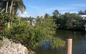 Home Exchange in Naples, FL canal views to Gulf of Mexico