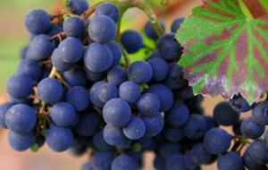 The Hideaways Club - La Retraite - Le Rouret, France