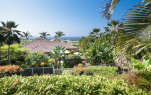Hawaiian paradise view of backyard