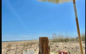 Home Exchange in Virginia Beach, VA set up a picnic in sun