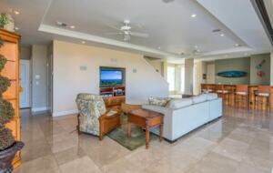 Lower level living room with bar