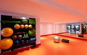 Home exchange in Los Cabos at Garza Blanca Resort, gym equipment