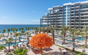 Home exchange in Los Cabos at Garza Blanca Resort, orange tree