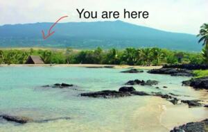 Hawaiian Cloud Forest Paradise