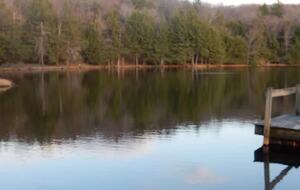 Home Exchange in Muncy Valley, PA, lake front serene and relaxing