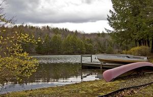 Home Exchange in Muncy Valley, PA, canoe, fish, and more!