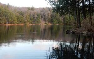 Home Exchange in Muncy Valley, PA, lake views