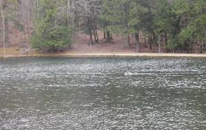 Home Exchange in Muncy Valley, PA, lake views!