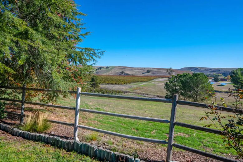 Home Exchange in San Miguel, CA views of the vineyard