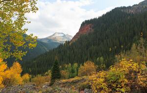 Mountain Home Ranch - Bordering National Forest - Durango, Colorado