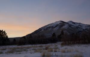 Mountain Home Ranch - Bordering National Forest - Durango, Colorado