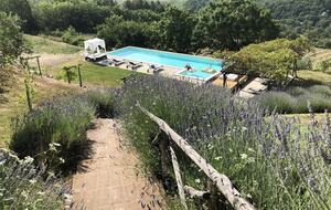 Gorgeous 18th Century Stone Villa in Umbria - Todi, Italy