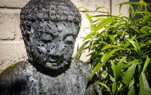 Artist Villa in Bali - Ubud, Indonesia