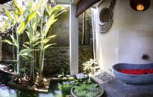 Artist Villa in Bali - Ubud, Indonesia