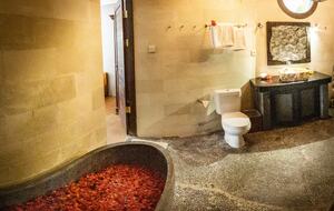 Artist Villa in Bali - Ubud, Indonesia