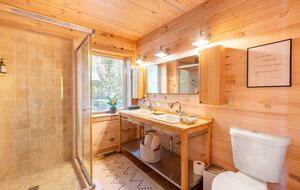 Home exchange in Fairview NC, downstairs bathroom with walk-in shower