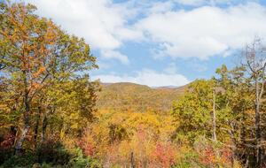 Home exchange in Fairview NC, fall foliage