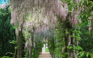 Château De Vézins (R) - Cholet, France