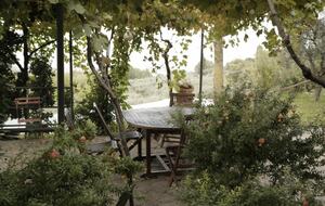 Fonte Cicerum the Italian Country Dolce Vita - Paciano, Perugia, Italy