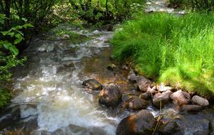 Home Exchange in Beaver Creek, CO, creek by building