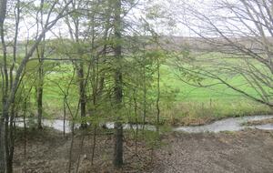 Home Exchange in Hillsdale, NY view of the land and brook