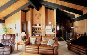 Living room with vaulted ceiling