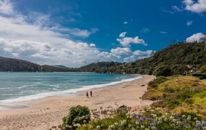 Home Exchange in Ferry Landing, Waikato, NZ