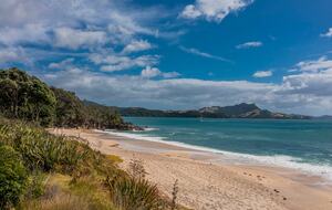 Home Exchange in Ferry Landing, Waikato, NZ beach