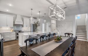 Sand Dollar - Destin, Florida