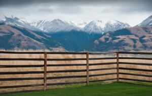 Views from the backyard