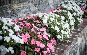 Al Bastini - Lucca, Italy