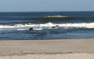 Home Exchange in Sea Isle City, NJ