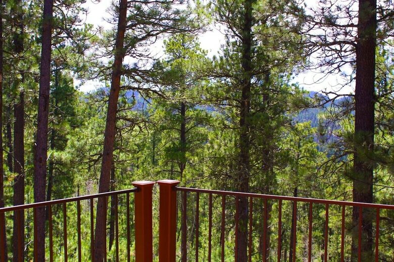 Home Exchange in Lead, SD summer views