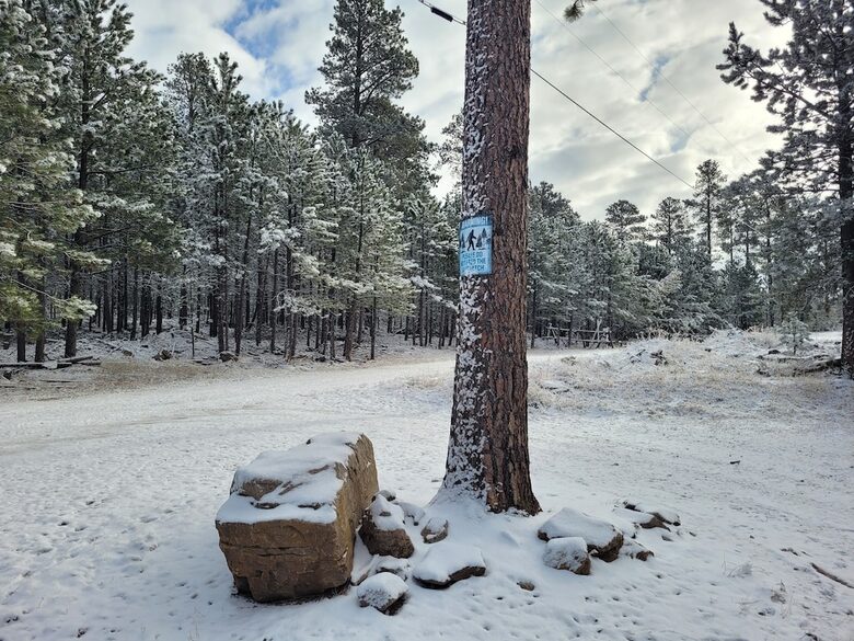 Home Exchange in Lead, SD winter