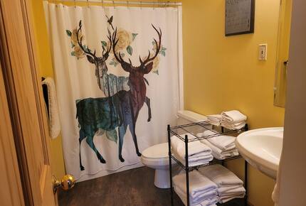 Home Exchange in Lead, SD bathroom 2