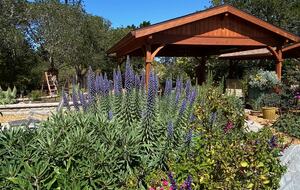 Point B - Monterey, California