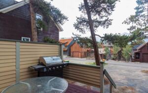 Back patio and grill