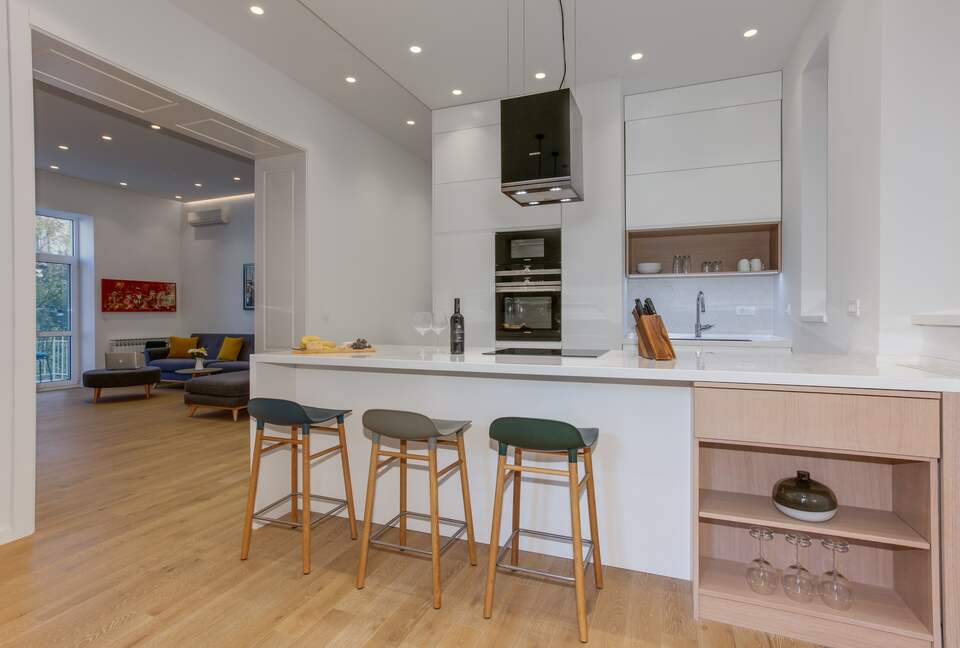 Belgrade - 1918 restored tall ceilings gem - Belgrade, Serbia